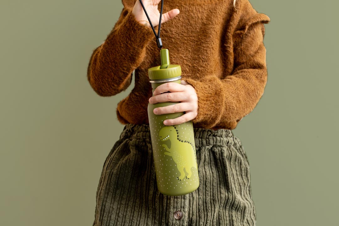 Trixie- Bottle 500ml - Mr. Dino