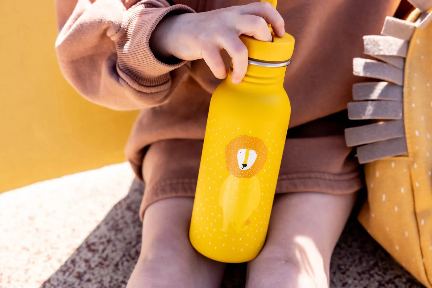 Bottle 500ml - Mr. Lion