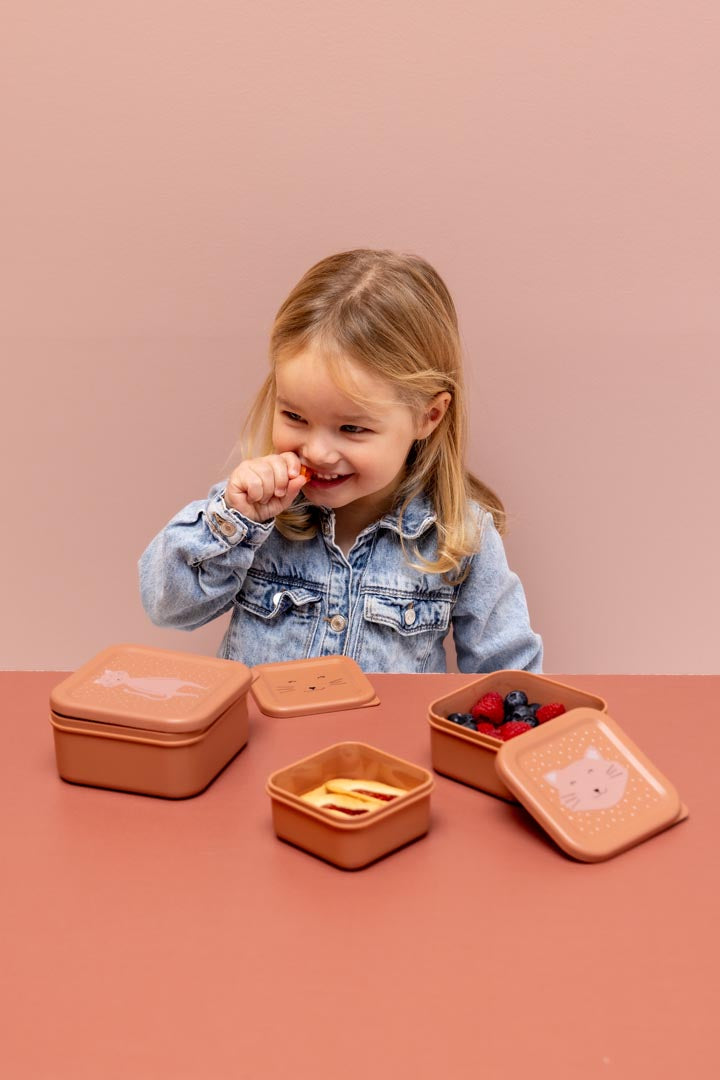 Snack box nesting - 3pcs - Mrs. Cat