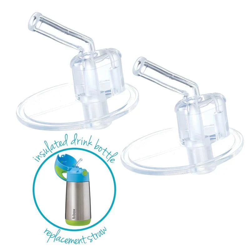 Insulated water bottle 2pk replacement straw tops