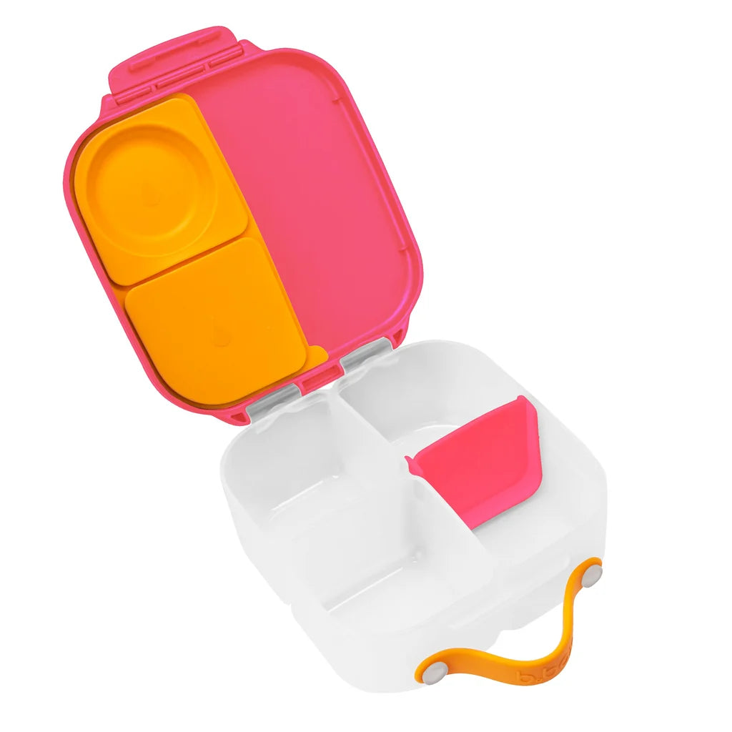 Mini Lunchbox -Flamingo Fizz
