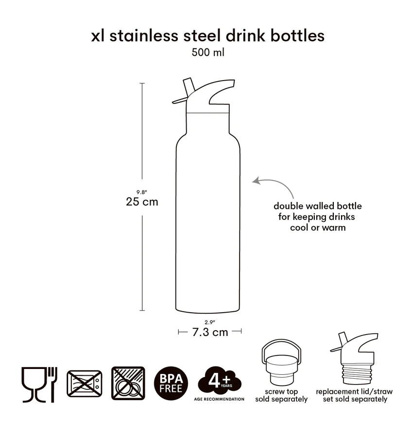 Stainless Steel Drink Bottle Dinosaurs 500 ml