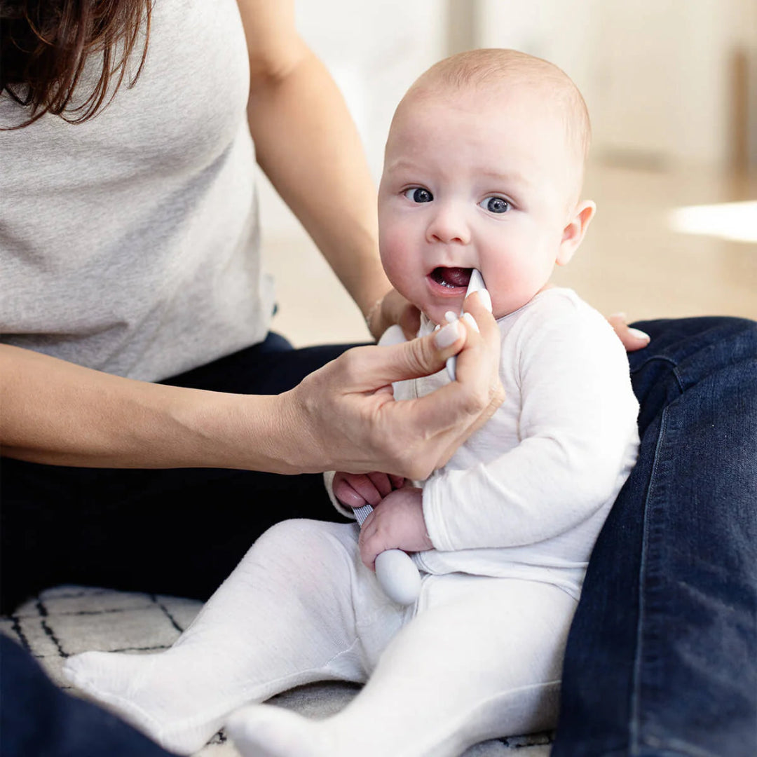 Baby-Led -Toothbrush+Tongue Depressor- Pewter