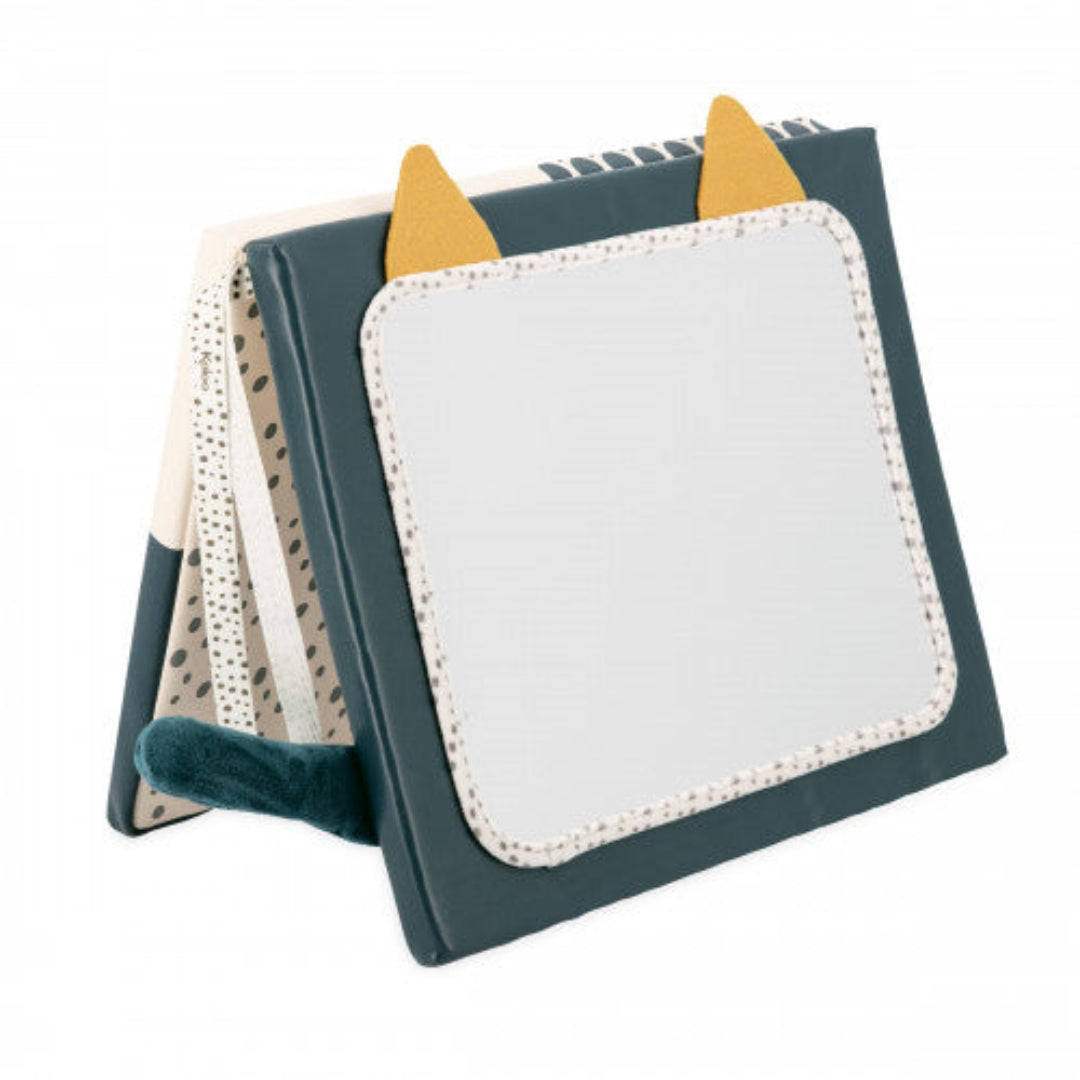 Sensory Mirror