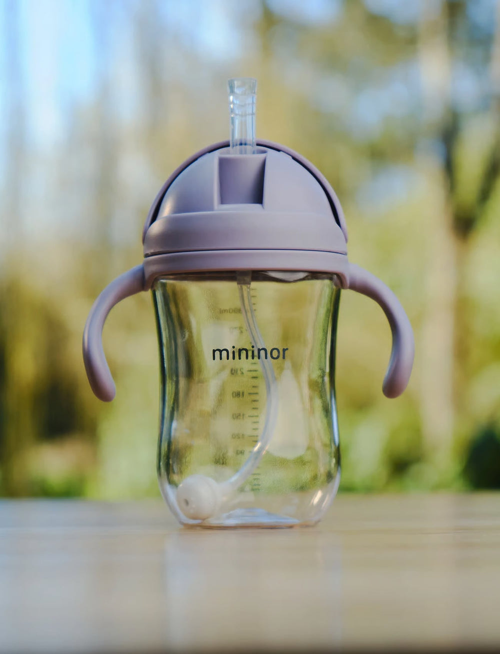 Mininor