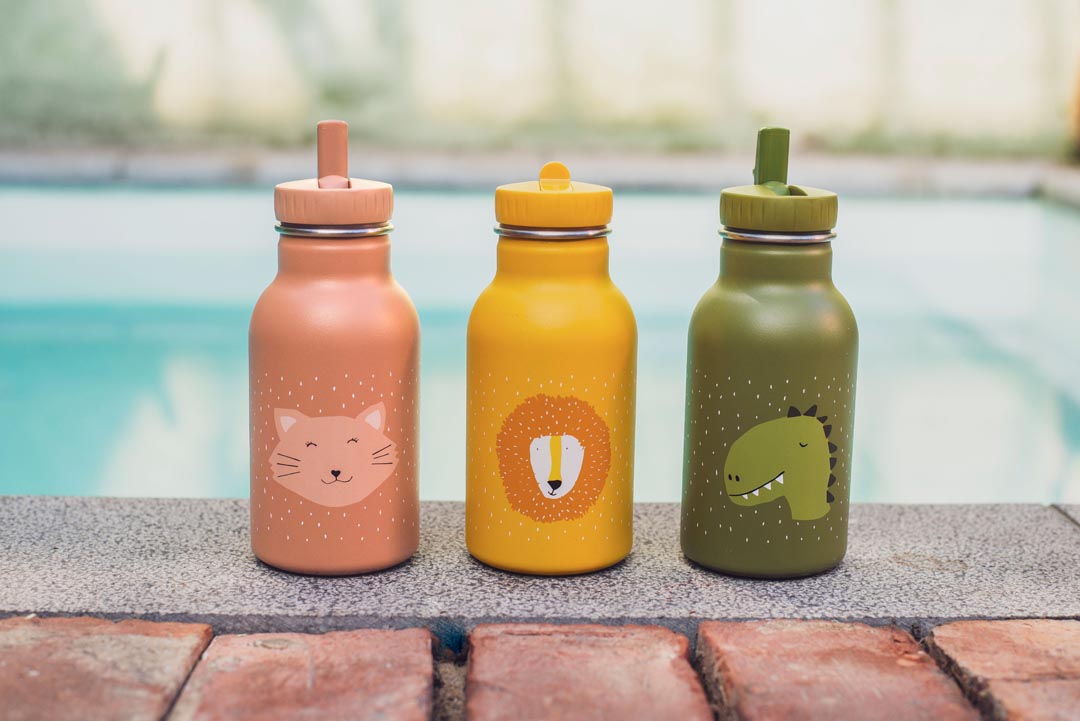 Bottle 350ml - Mr. Lion