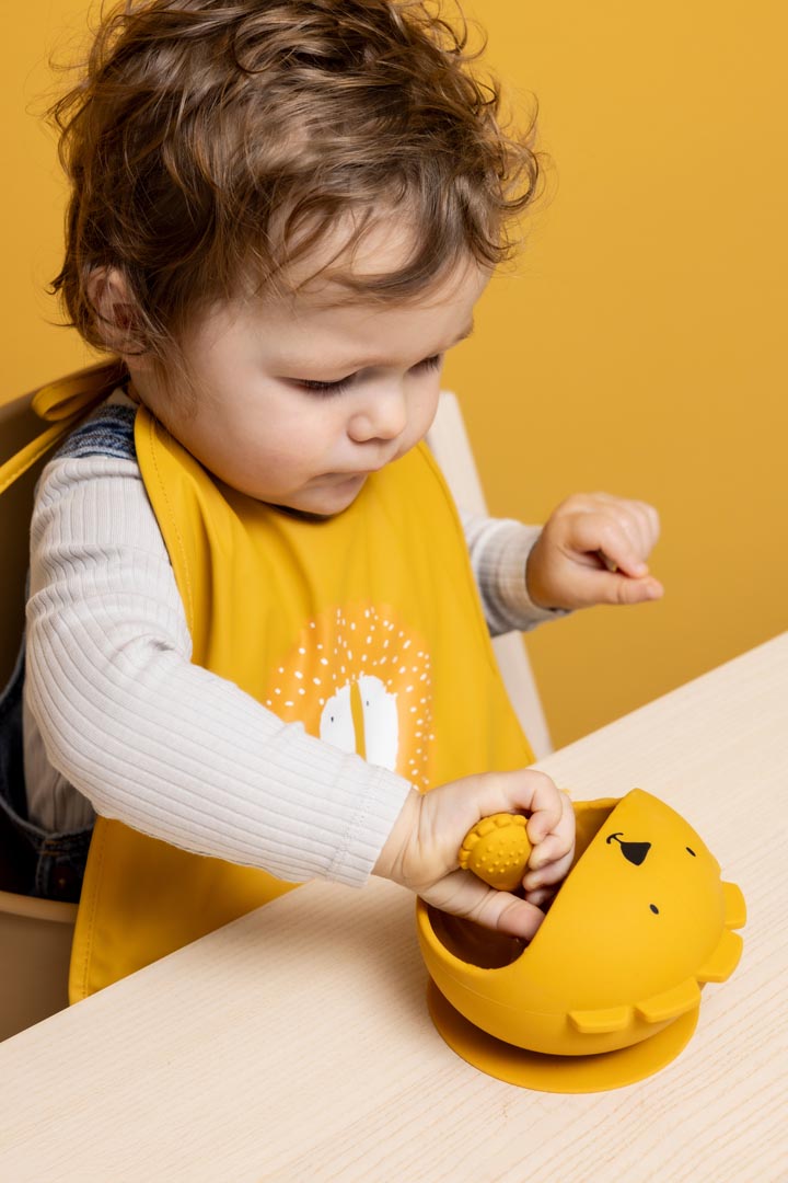 First baby meal set - Mr. Lion