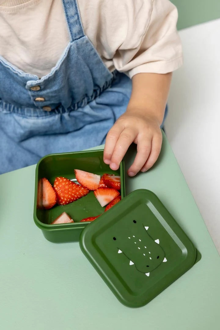 Snack box nesting - 3pcs - Mr. Alligator