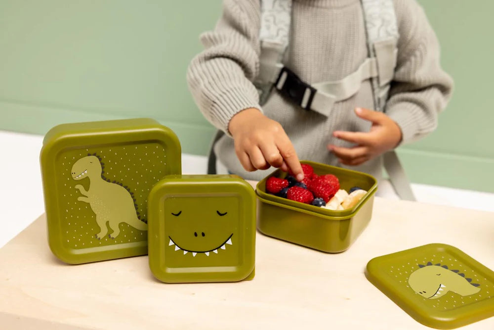 Snack box nesting 3 pcs -Mr. Dino