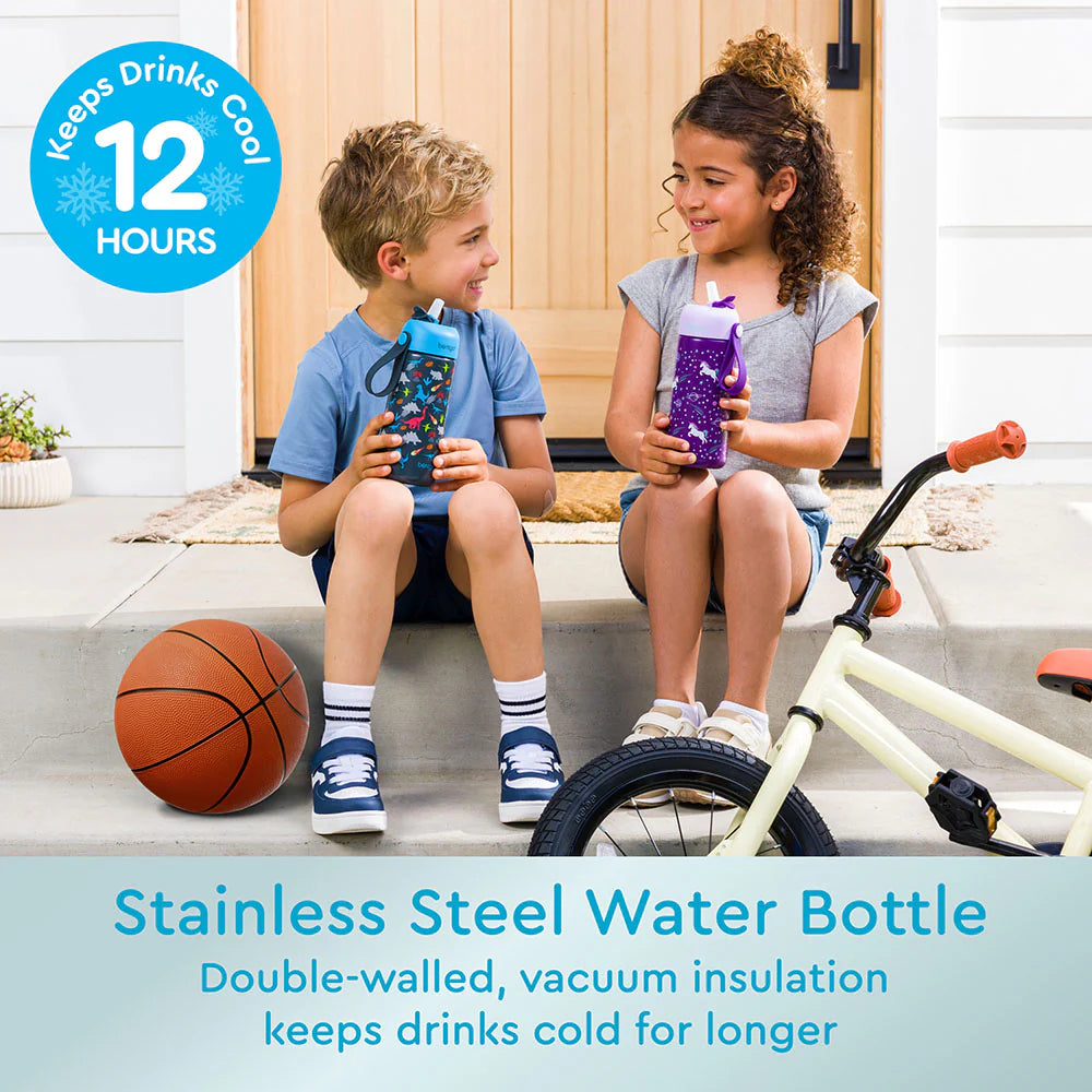 Stainless Steel Insulated Water Bottle - Dino