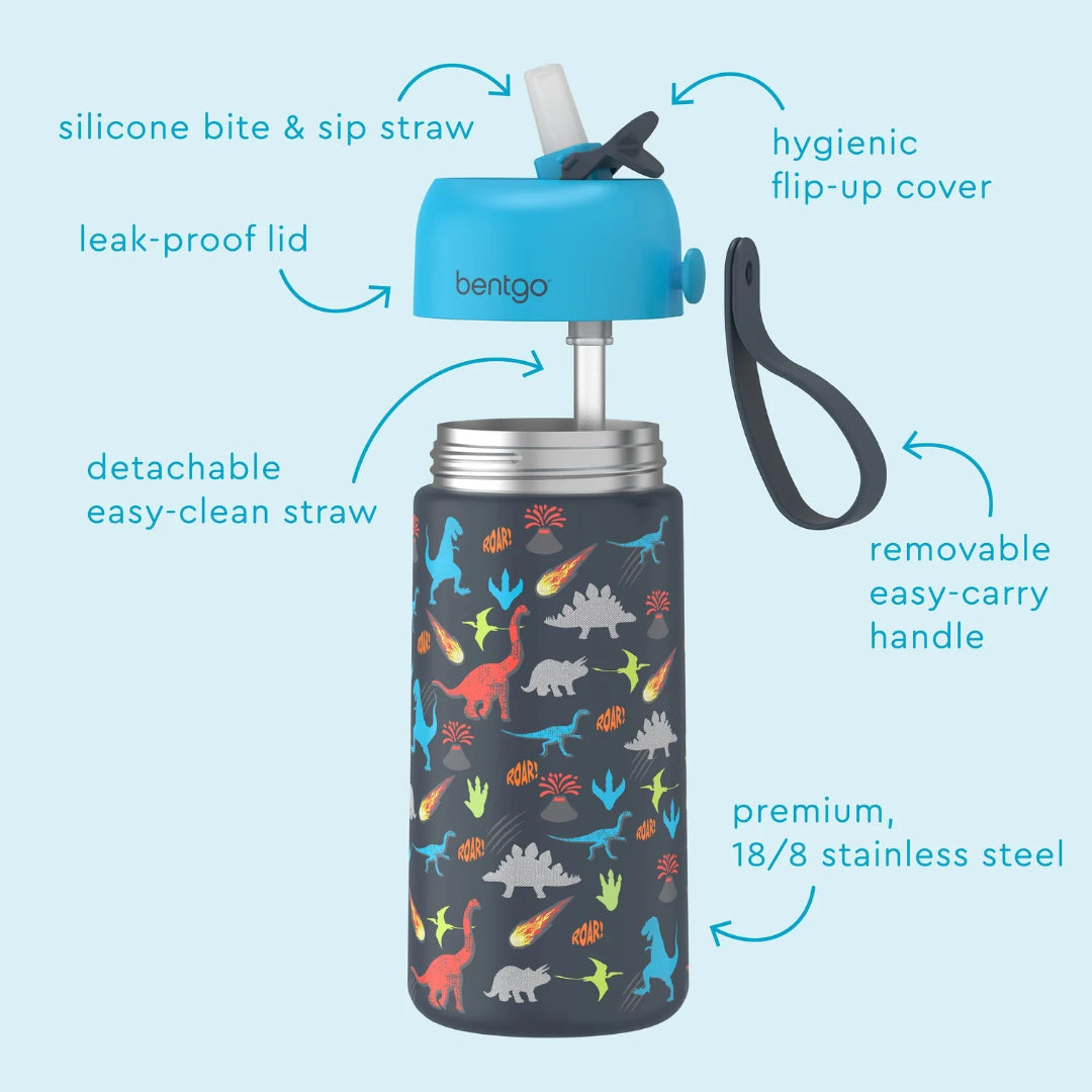 Stainless Steel Insulated Water Bottle - Dino