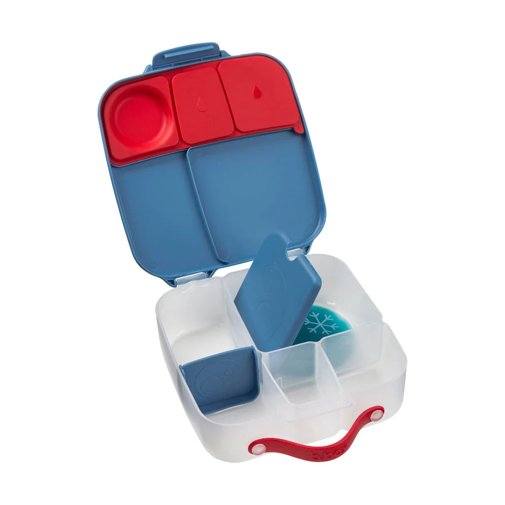 Lunchbox Large Size -  Blue Blaze