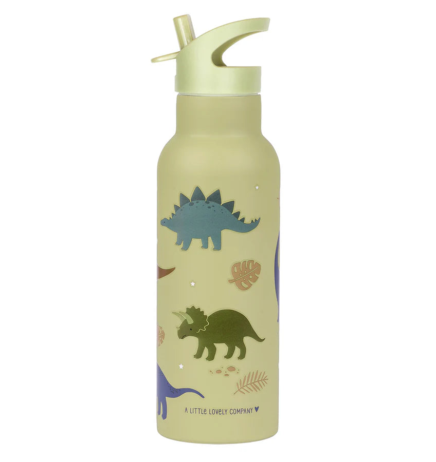 Stainless Steel Drink Bottle Dinosaurs 500 ml