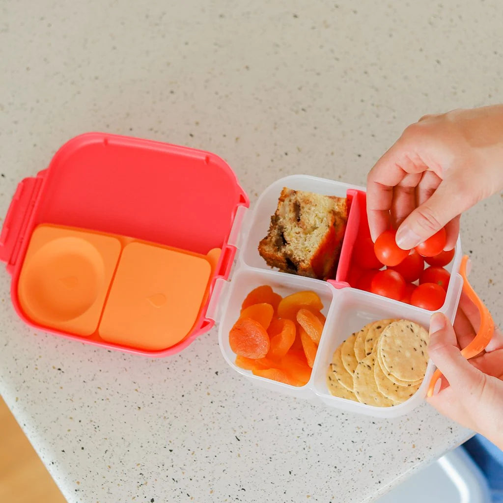 Mini Lunchbox -Flamingo Fizz