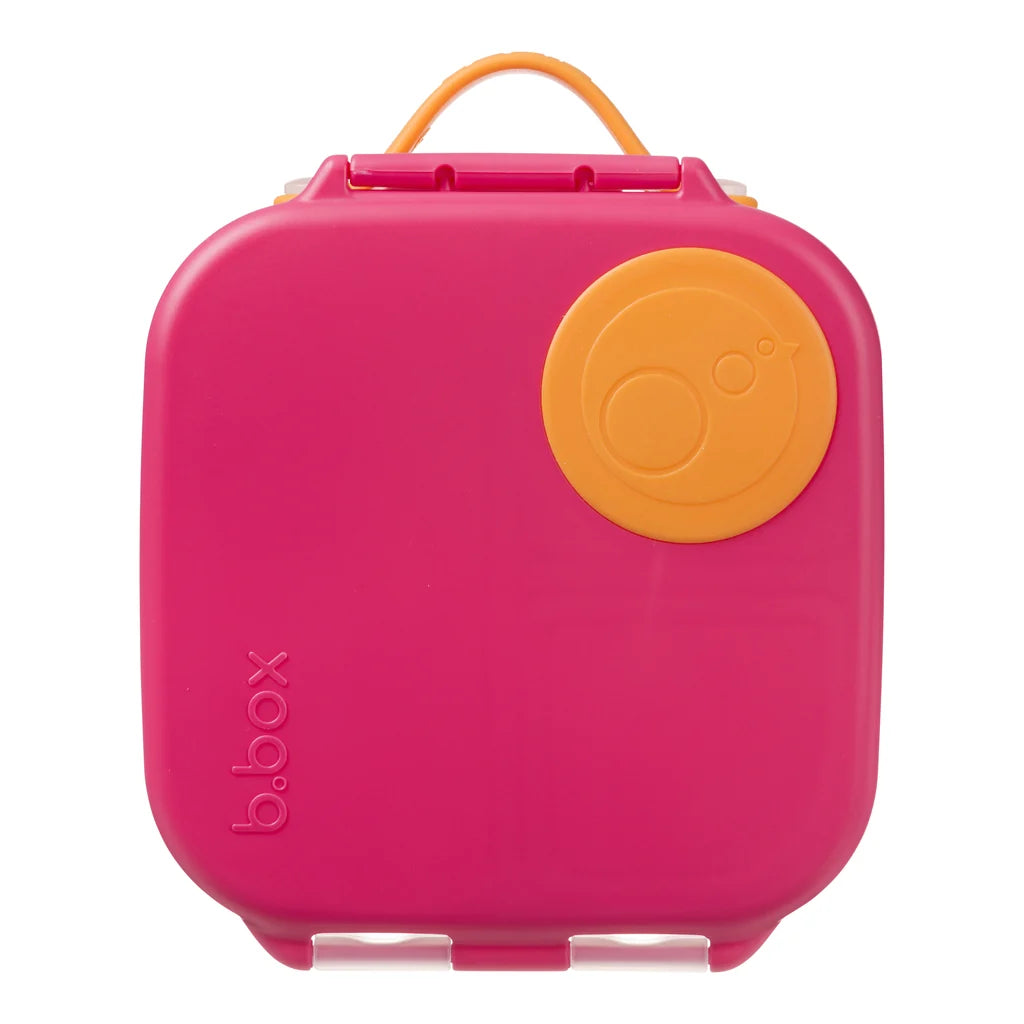 Mini Lunchbox -Flamingo Fizz