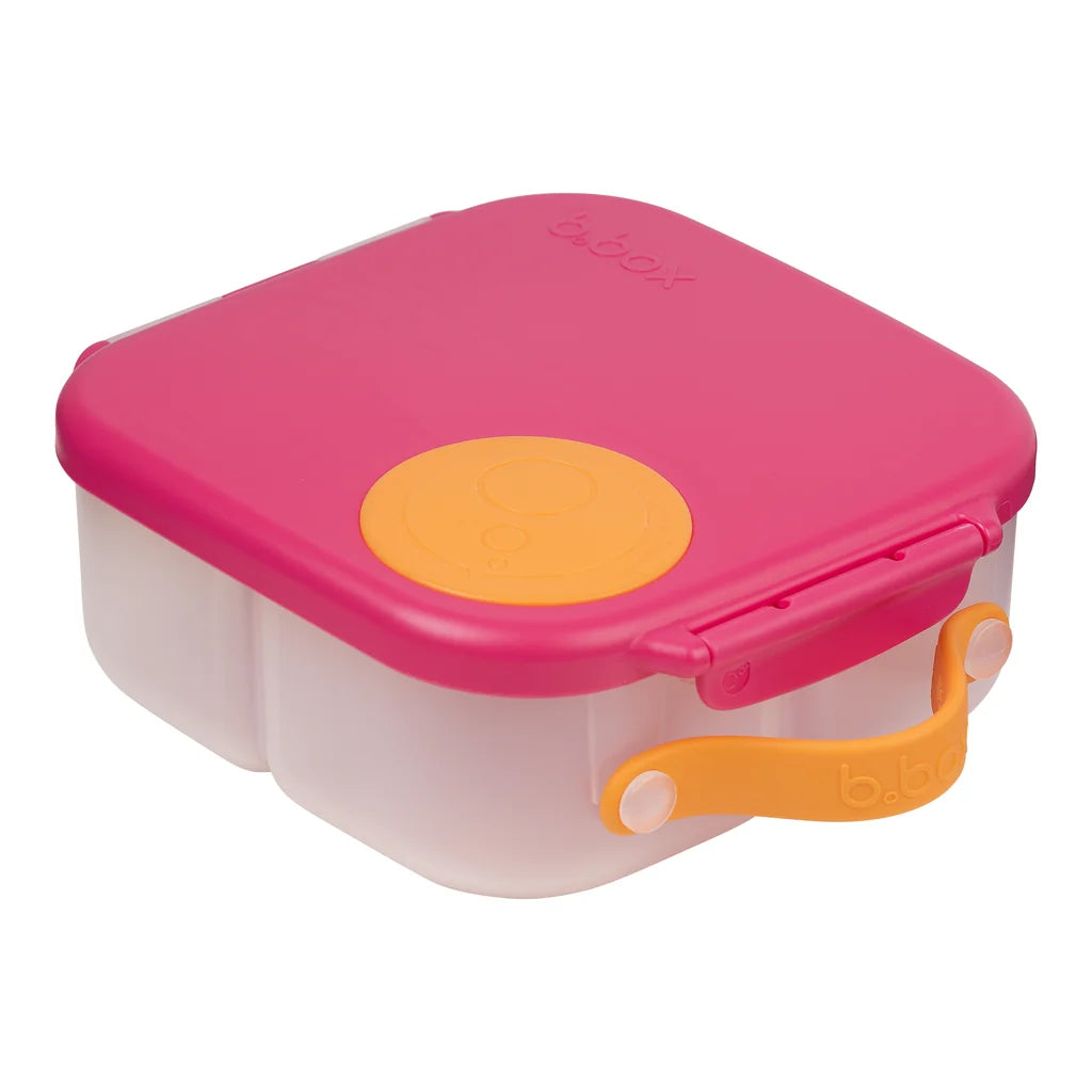 Mini Lunchbox -Flamingo Fizz