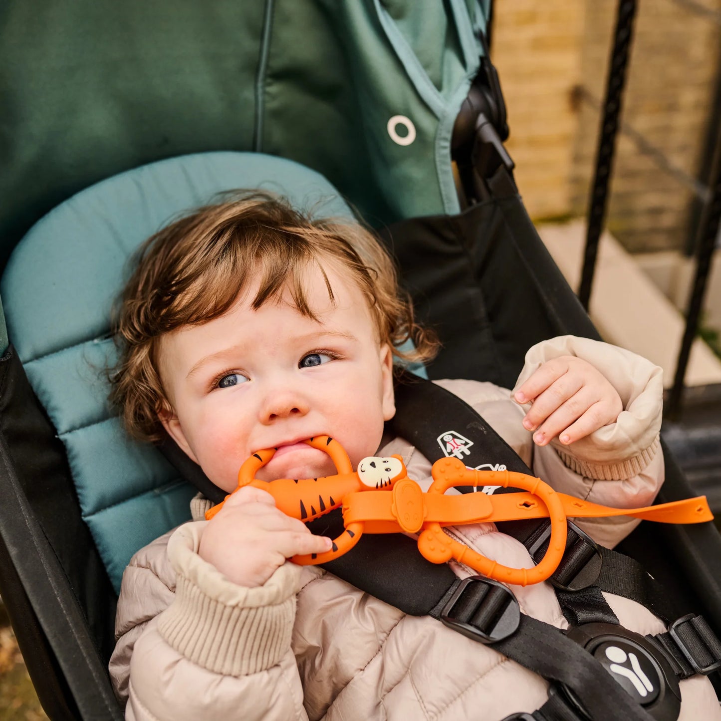 Tiger Teething Gift set