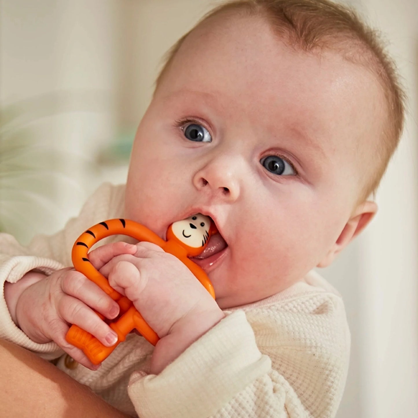 Tiger Teething Gift set