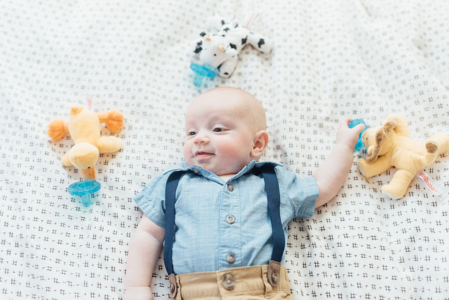 Baby Lion Pacifier