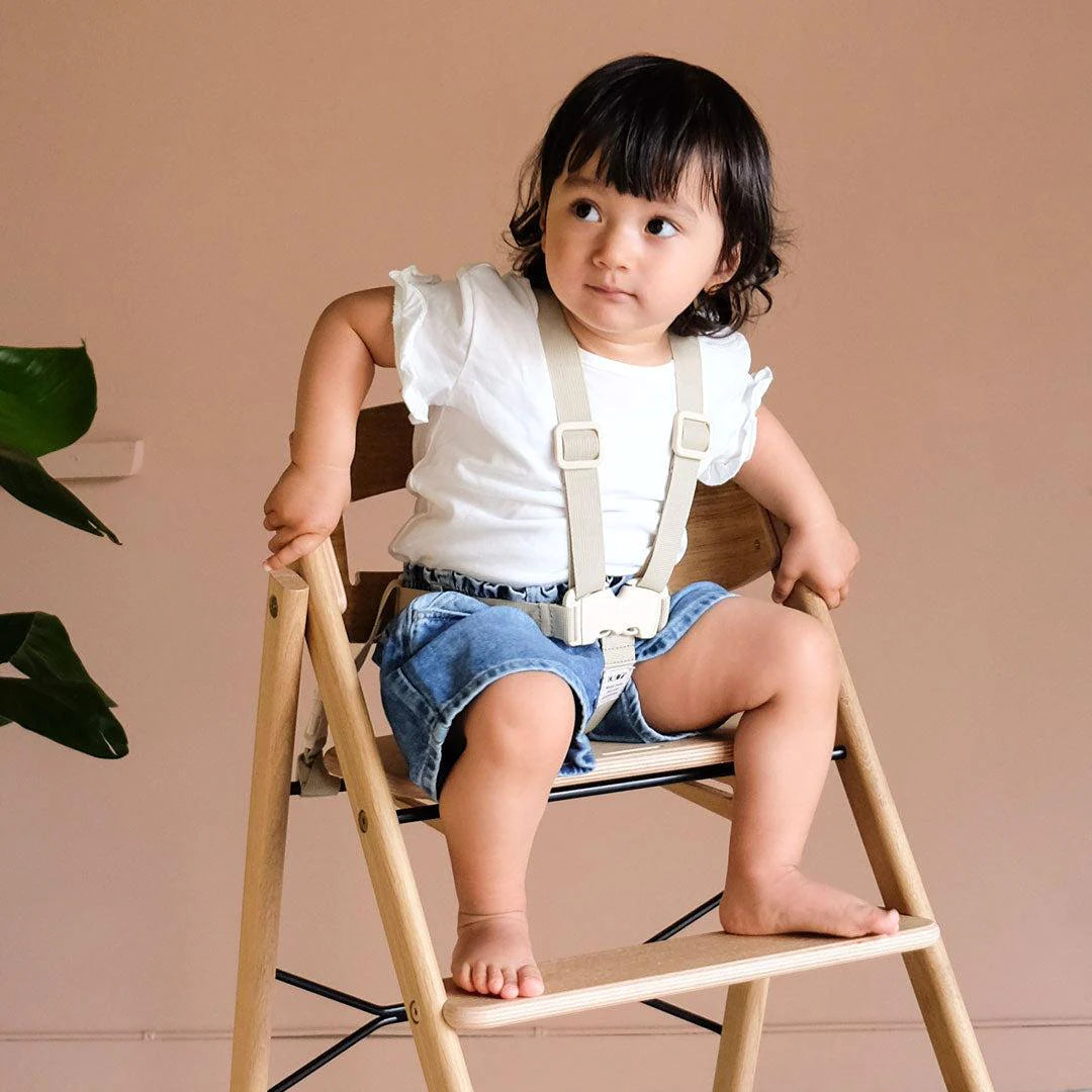 Klapp - 5 Point Jr. Harness